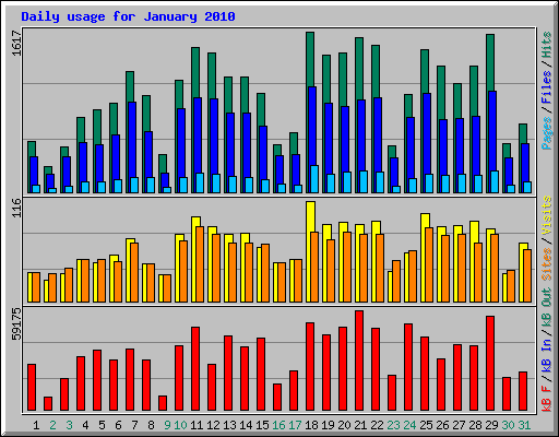 Daily usage for January 2010